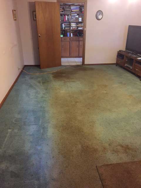 How-often-should-you-clean-your-carpet